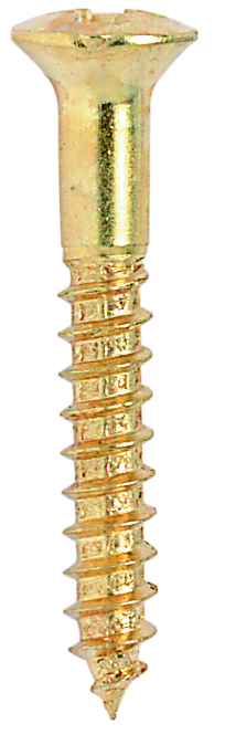 Lot de 200 vis nickelées à tête cruciforme pour la fixation de barres de seuil.