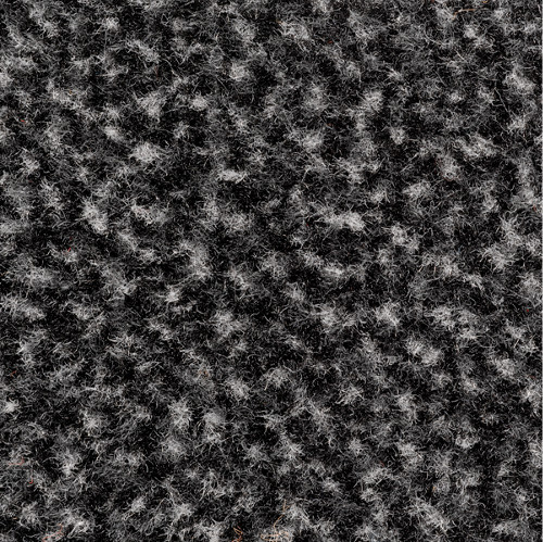 Tapis antipoussière