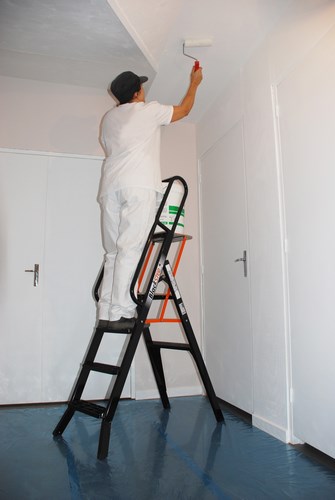 Escabeau Alu 3 Marches + Plateforme