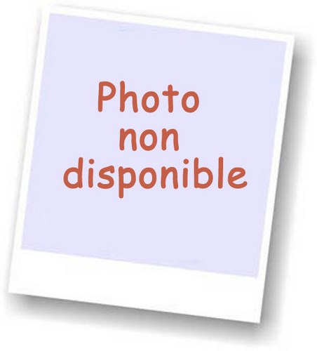 Durcisseur IMPA PLASTUK LEGNO 45g pour mastic de réparation bois