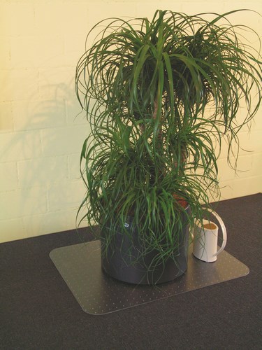 Plaque "Protec'Sol" Lisse