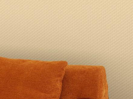 Toile de Verre Standard N0181 Tresse 50x1m