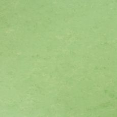 Revêtement de sol en linoléum Linosom Veneto xf² vert Chlorophylle, 2.5mm d'épaisseur et 2m de large.