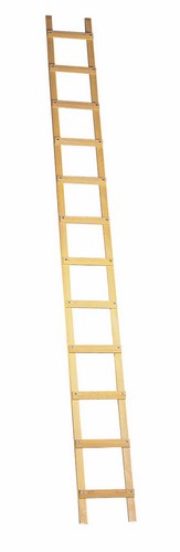 Échelle de toit en aluminium avec écart entre échelons de 33 cm pour travaux sécurisés.