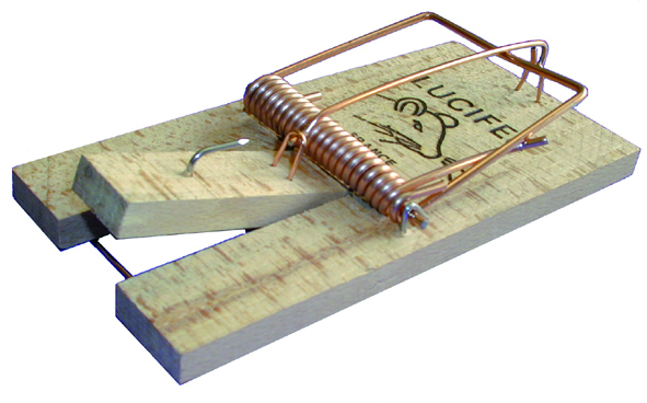 Piège à Rat sur Socle en Bois sur Carte