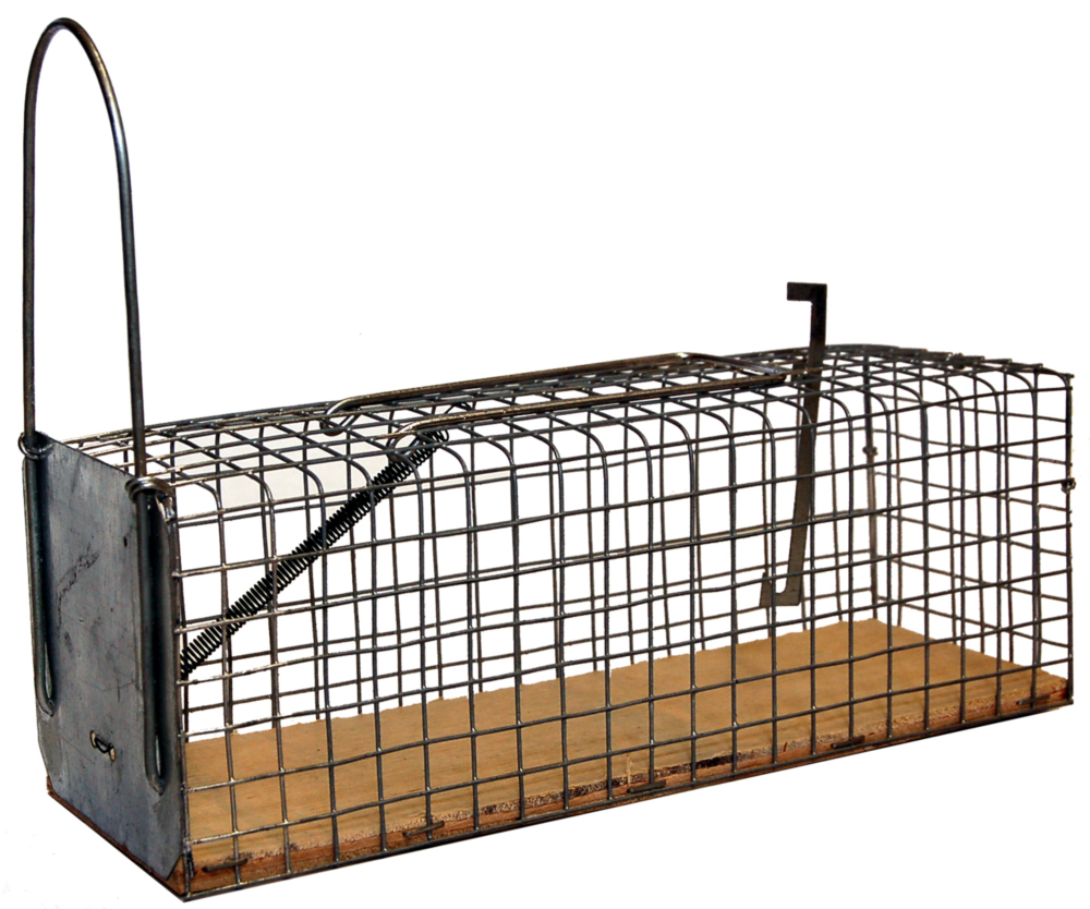 Nasse à rat 1 entrée en métal galvanisé, piège robuste pour la capture de rongeurs en extérieur.
