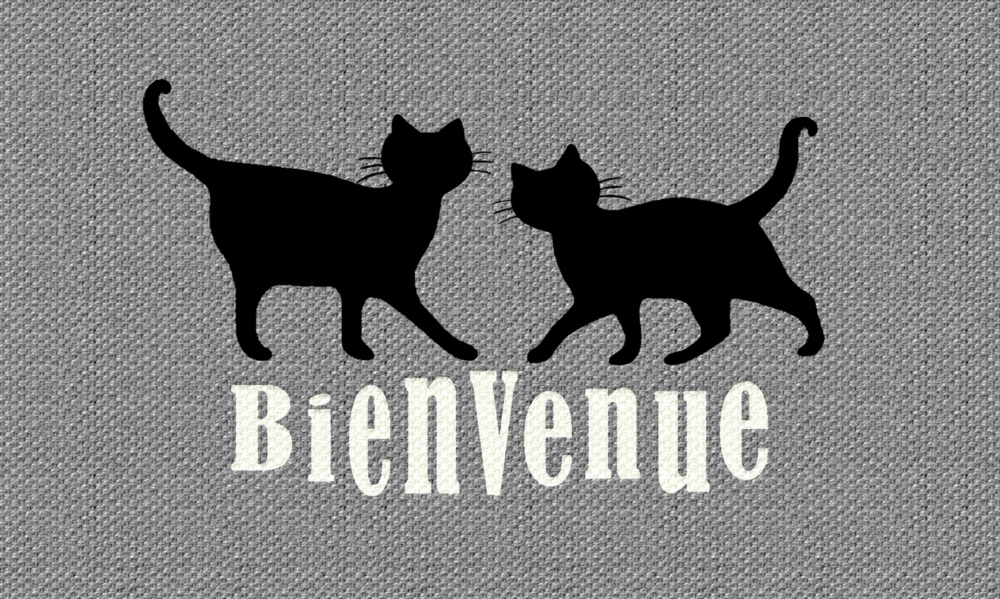 Tapis de sol décoratif d'entrée pour patio, motif chat avec inscription Bienvenue, 45 x 75 cm