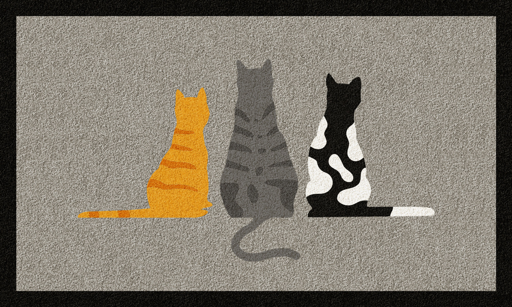 Tapis de sol décoratif petit format pour patio avec motif chat de dos, résistant et facile d'entretien, 50 x 80 cm