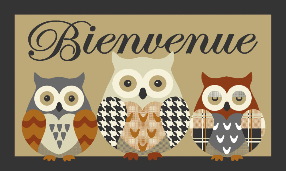 Tapis Patio Chouette 50 x 80 cm, tapis de sol décoratif motif hibou pour intérieur et extérieur.