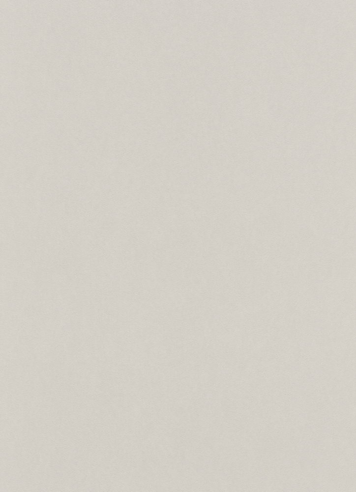 Papier peint uni taupe clair Liasse Best S1 VGI de la Collection Best Sélection 2, année 2019, avec une subtile texture mate.