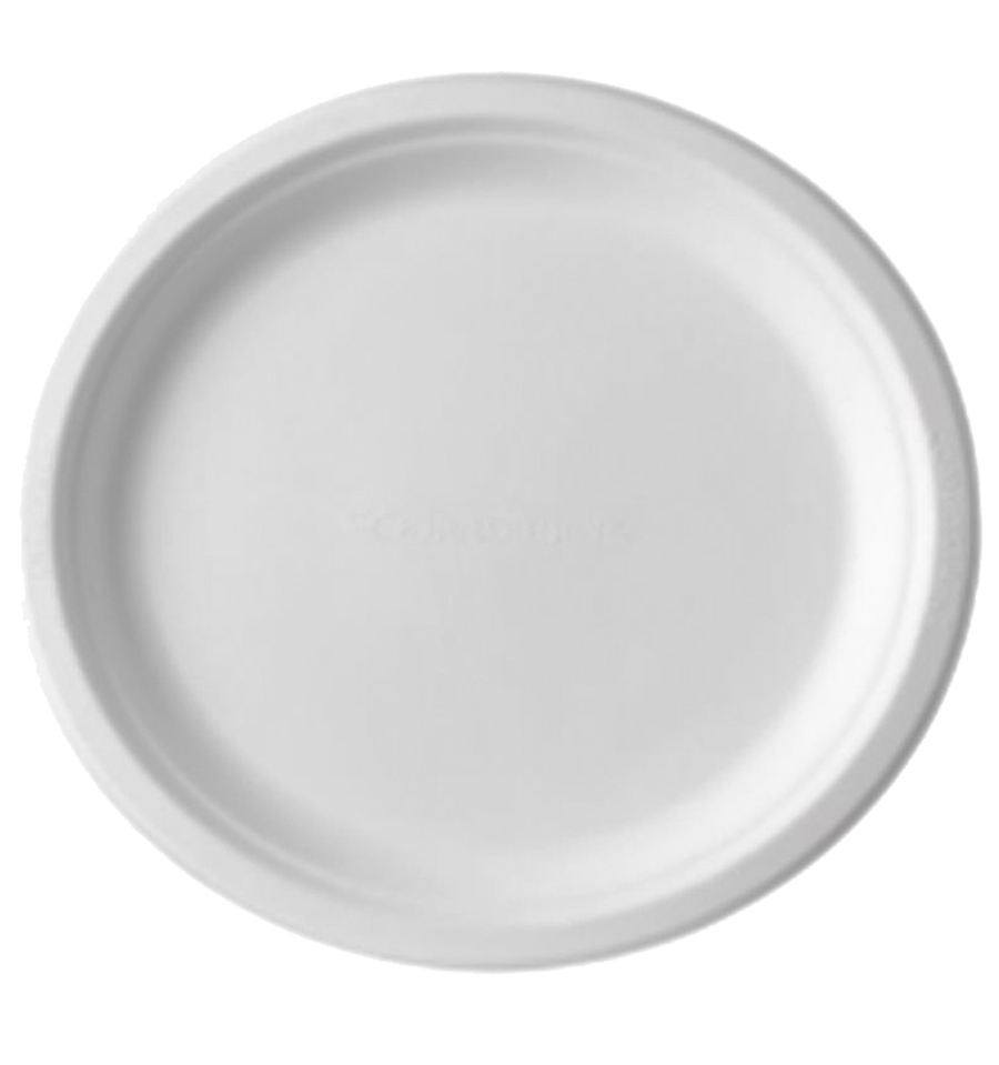 Assiettes Blanches en Bagasse Lot de 50