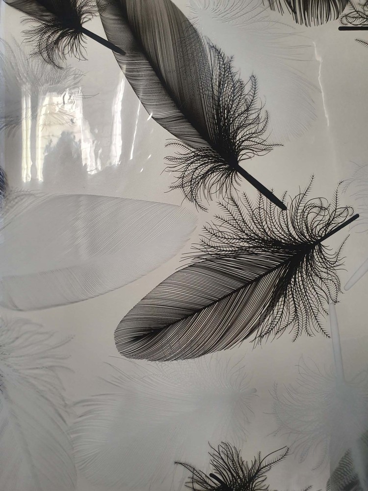 Nappe cristal transparente imprimée Plume noire, rouleau de 140 cm x 20 m