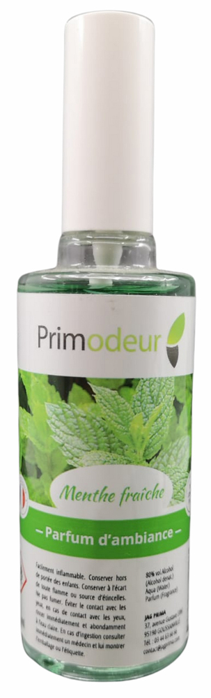Rénovateur d'ambiance Menthe vaporisateur 50 ml, destructeur d'odeurs