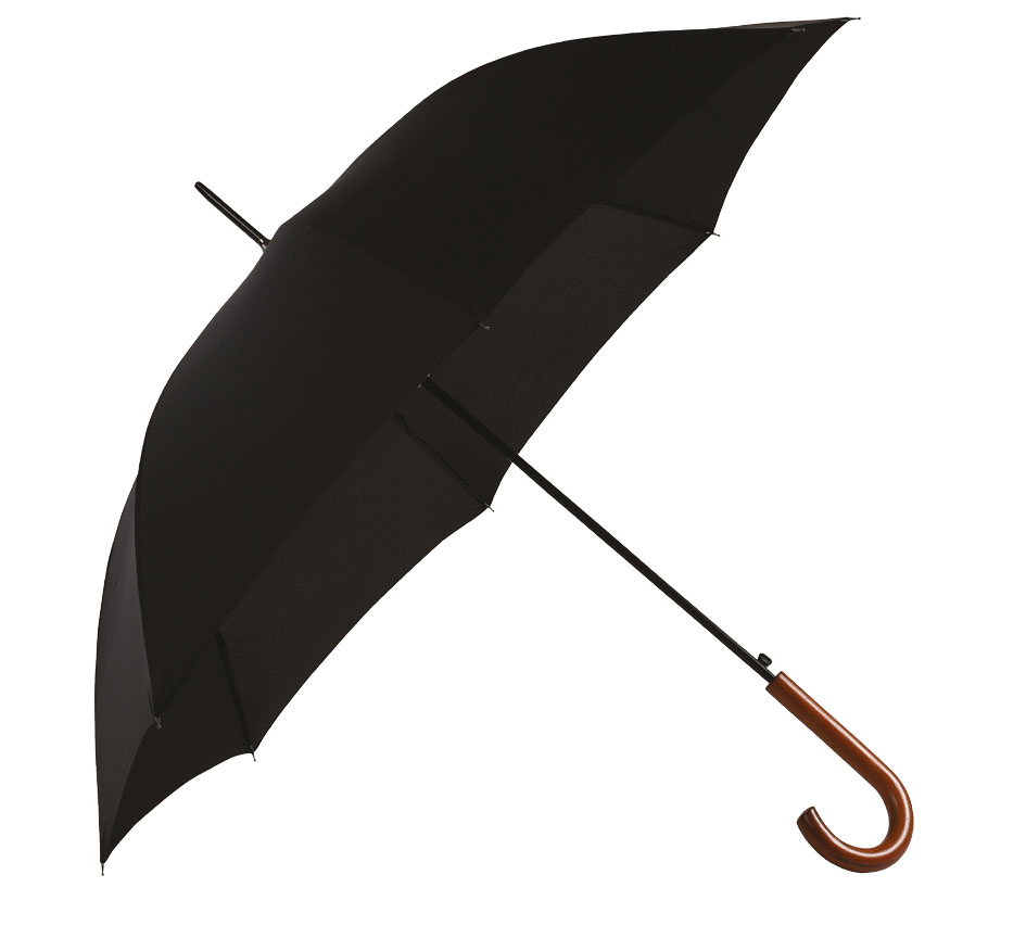 Parapluie Canne Bois Noir