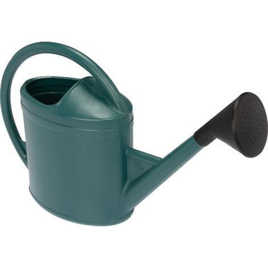 Arrosoir ovale vert en métal de 3 litres pour l'arrosage du jardin