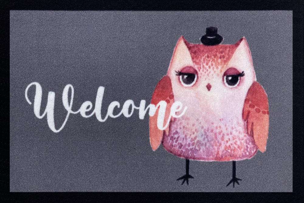 Tapis d'entrée anti-poussière gris 40x60 cm motif hibou
