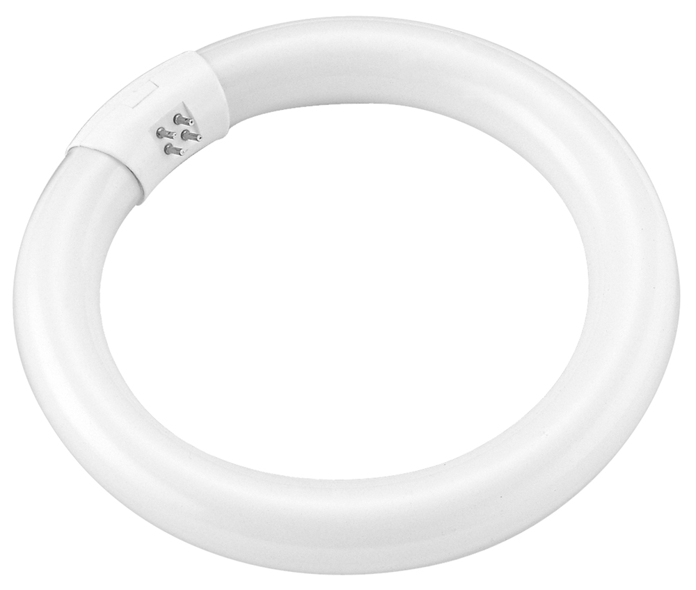 Ampoule Tube Circline Blanche T9 CW à économie d'énergie pour éclairage circulaire