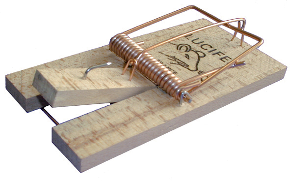 Lot de 15 pièges à rat Lucifer efficaces contre les rongeurs