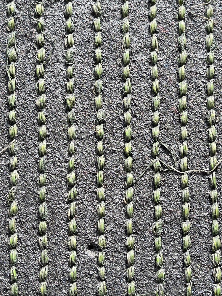 Gazon Synthétique 42 mm Connemara Coupon 1 x 3 ml