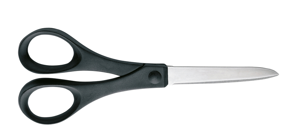 Ciseaux Essentiels Multi-Usages de 17 cm en acier inoxydable avec poignées ergonomiques
