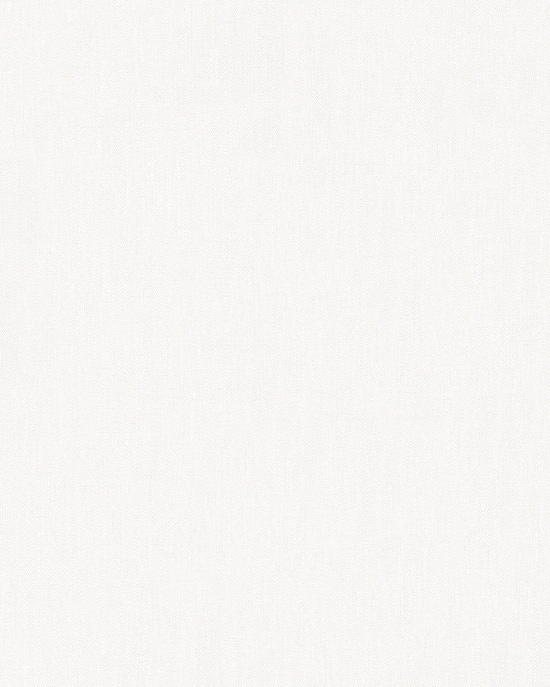 Papier Peint Vinyle Sur Intissé Toile Blanc Cassé, avec son aspect texturé et sa finition mate, issu de la Collection Décorama Unis 2025