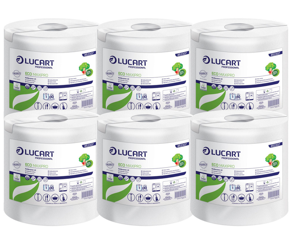 Bobines d'essuyage papier EcoMaxipro, lot de 6, 450 feuilles, blanches et absorbantes