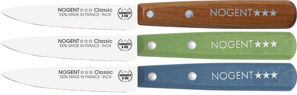 Couteau d'office à lame de 9 cm en acier inoxydable avec manche en bois coloré