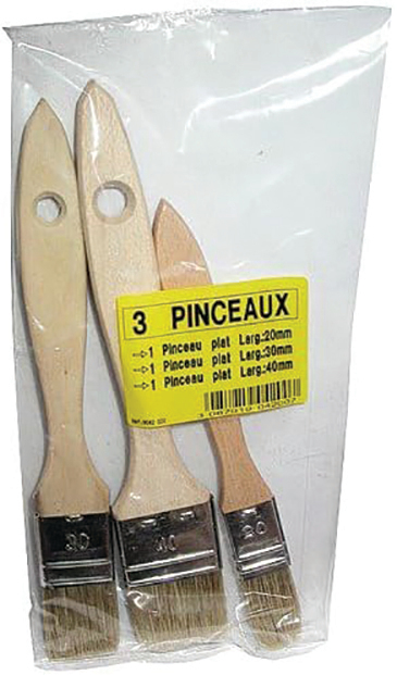 Lot de 3 pinceaux plats de tailles variées pour peintre