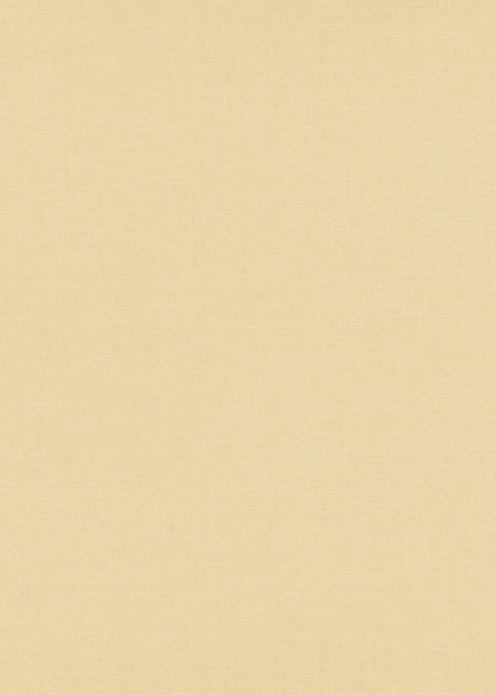 Papier peint vinyle grainé sur intissé uni beige, aspect matière pour une décoration chaleureuse