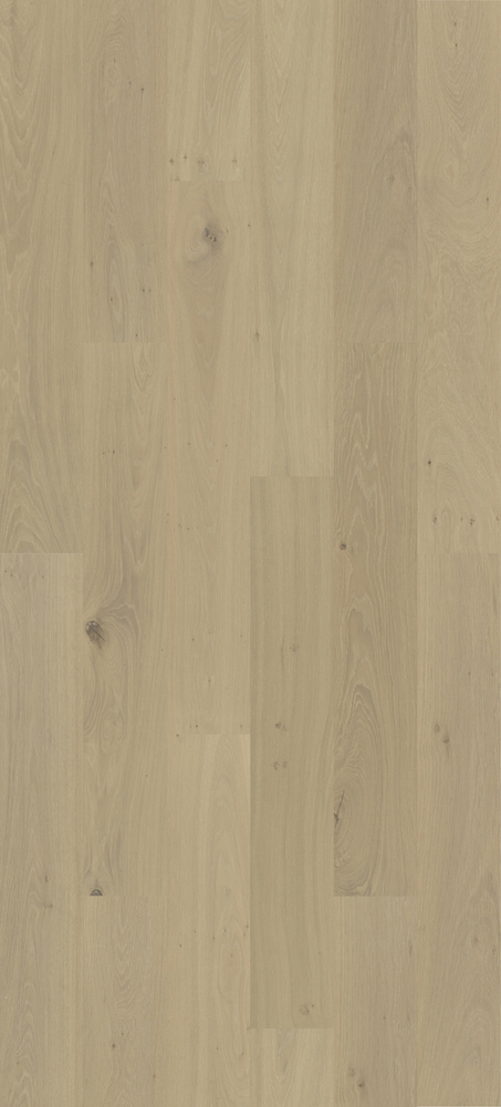 Parquet chêne naturel Parqwood Silk Lame XL, finition soyeuse, avec grain de bois authentique