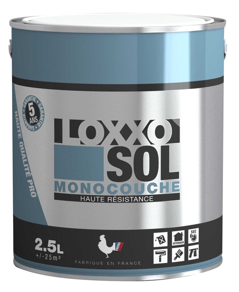 Peinture Sol Monocouche Haute Résistance 2.5L pour garage et atelier