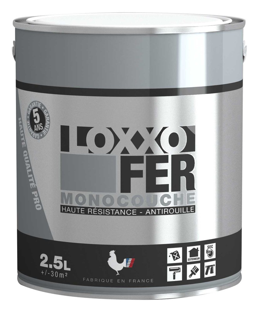 Peinture laque Fer Antirouille Monocouche Haute Résistance 2.5L pour fers et métaux extérieurs