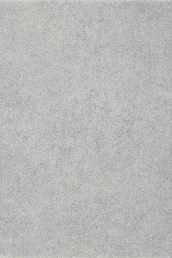 Sol vinyle Baticoustic 1100 en lé, largeur 2 mètres, pour revêtement de sol intérieur