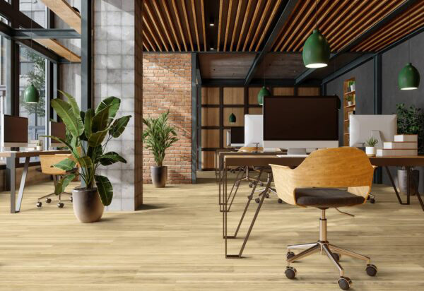 Optima 55 à Coller VALLEY D2555 Lame 1219.4 x 177.8 mm