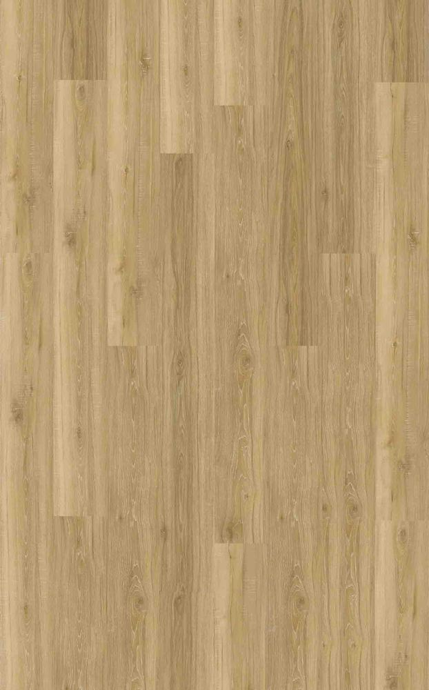 Optima 55 à Coller VALLEY D2555 Lame 1219.4 x 177.8 mm