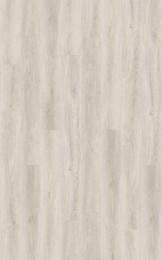 Optima 70 à Coller NORTH D2570 Lame 1219.4 x 177.8 mm