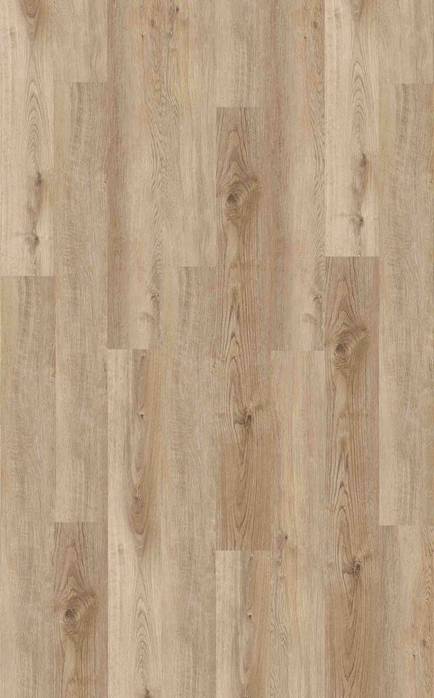 Collection Iguane 2026