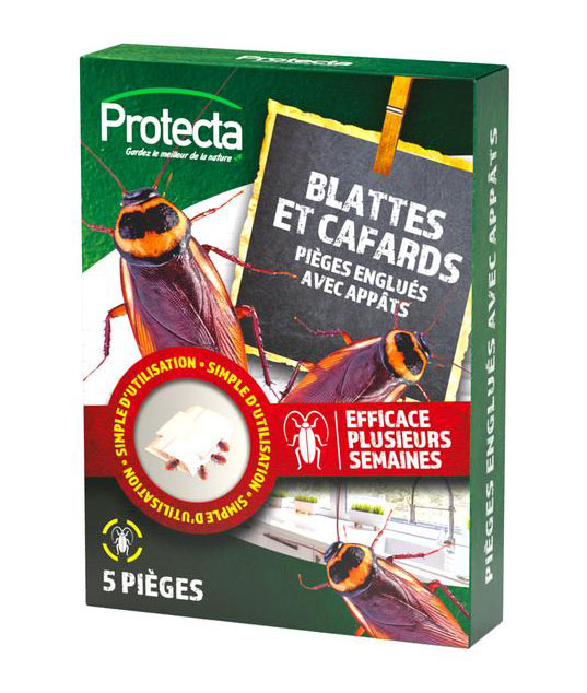 5 pièges écologiques englués avec appâts anti blattes et cafards, sans insecticide