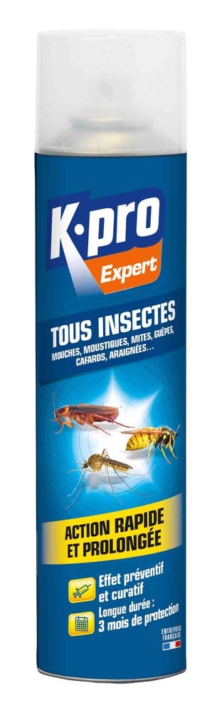 Aérosol anti-insectes universel 300 ml, efficace contre tous les insectes rampants et volants.