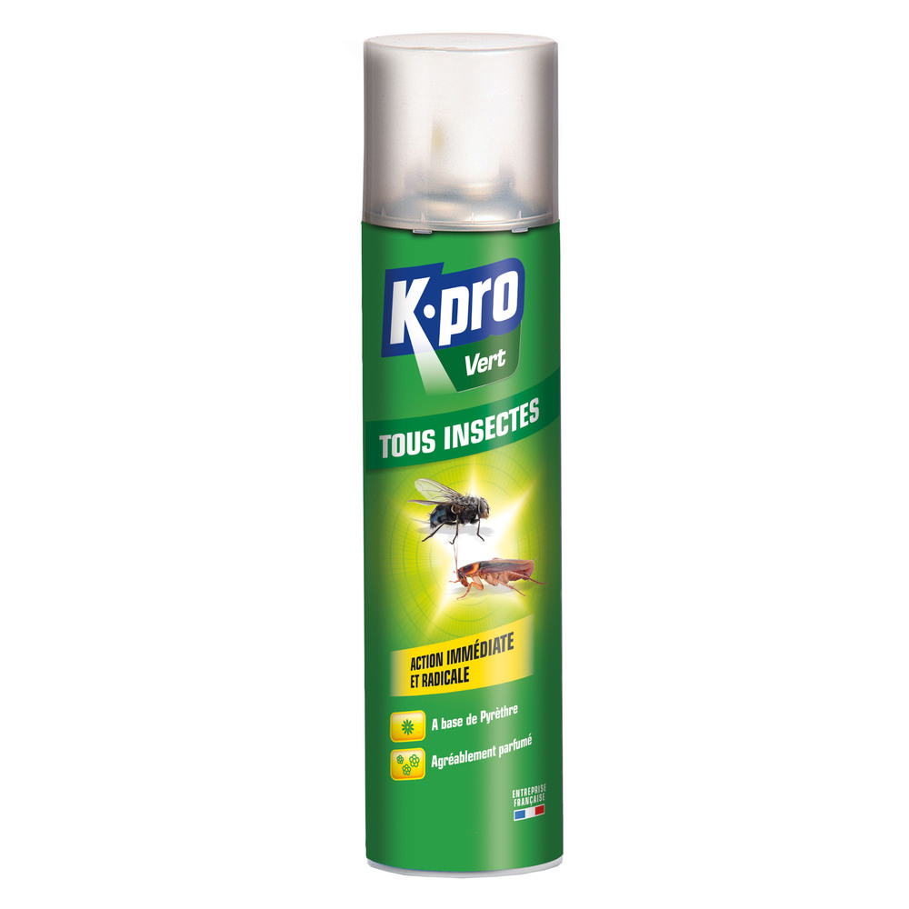 Aérosol Tous Insectes au Pyrèthre 300 ml TP18, spray insecticide puissant contre volants et rampants.