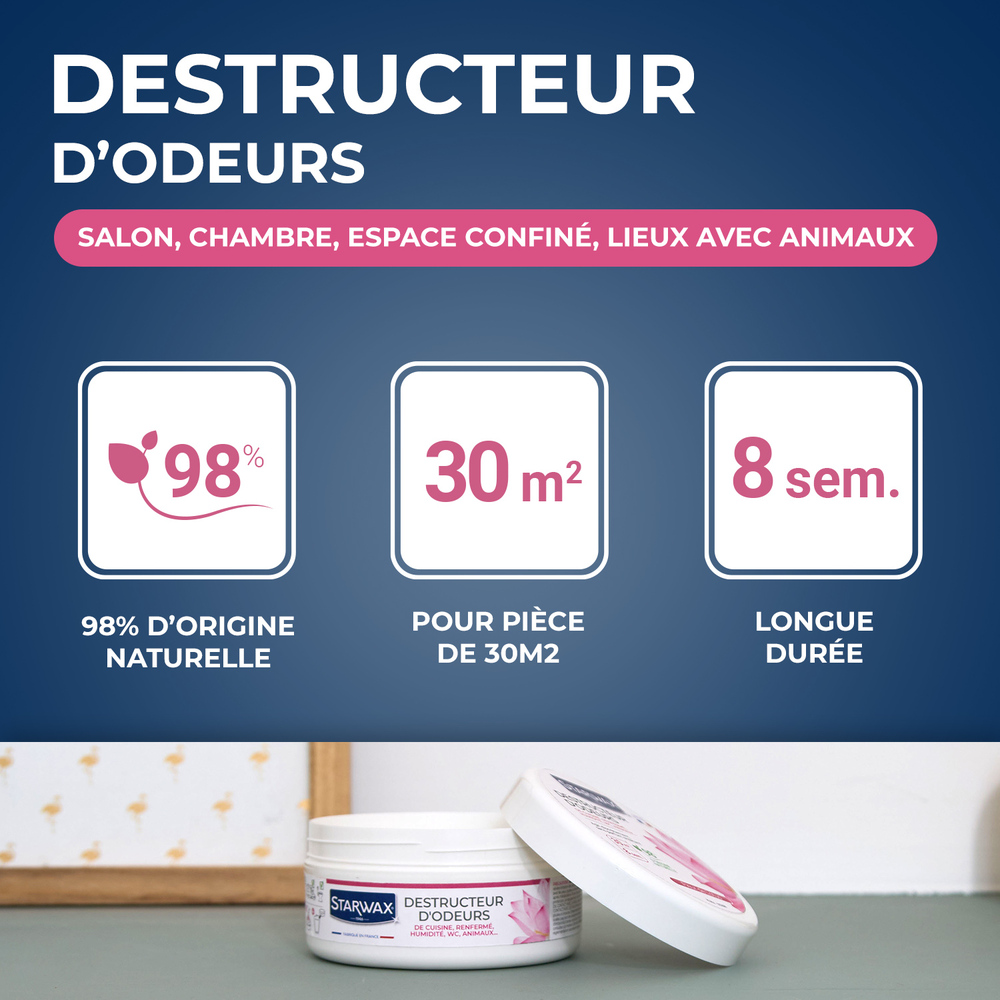 Destructeur D’odeurs Fleur de Lotus 300 g