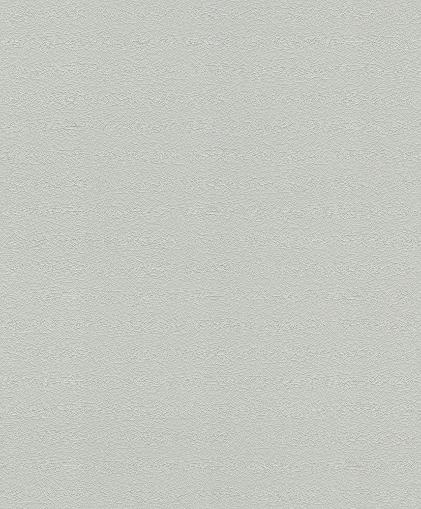 Papier Peint Vinyle Uni Planet Gris Clair texturé