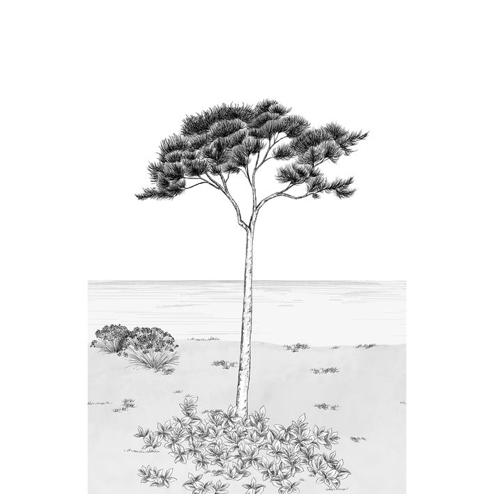 20002 - Papier Peint Intissé Parfum De Pin Noir Fusain  - L