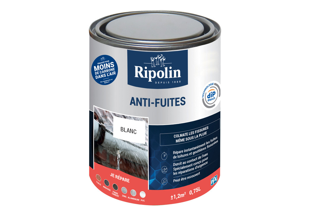 peinture anti fuites Ripolin blanc