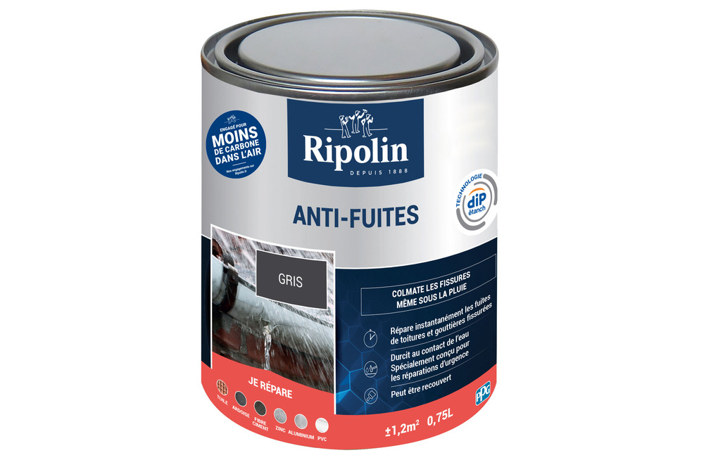 peinture anti fuites Ripolin gris