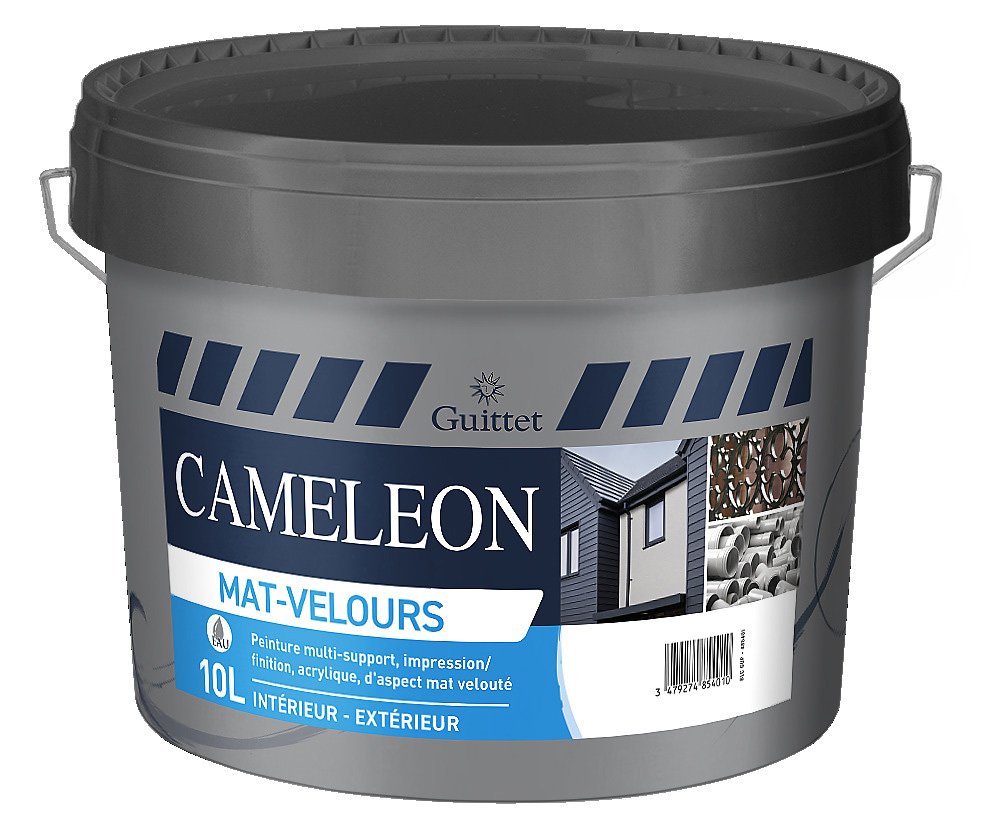 Fut de peinture Cameleon Mat-velours de Guittet