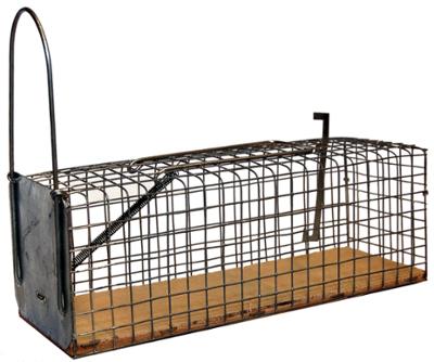 Nasse à rat 1 entrée en métal galvanisé, piège robuste pour la capture de rongeurs en extérieur.
