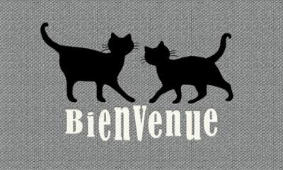 Tapis de sol décoratif d'entrée pour patio, motif chat avec inscription Bienvenue, 45 x 75 cm