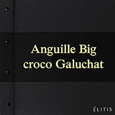 Album de papiers peints Anguille Big Croco Galuchat, présentant des échantillons de textures décoratives variées pour professionnels.