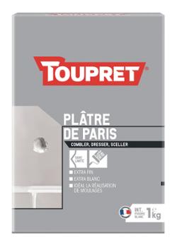 Plâtre de Paris Poudre 1 kg, sac d'enduit blanc pour bricolage